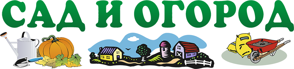 Сад и огород